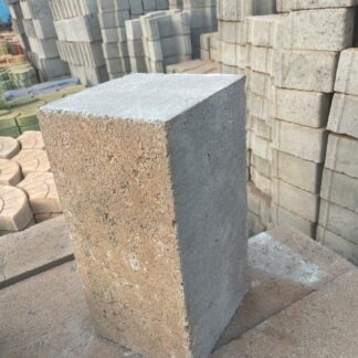 Brique Pleine 20 cm